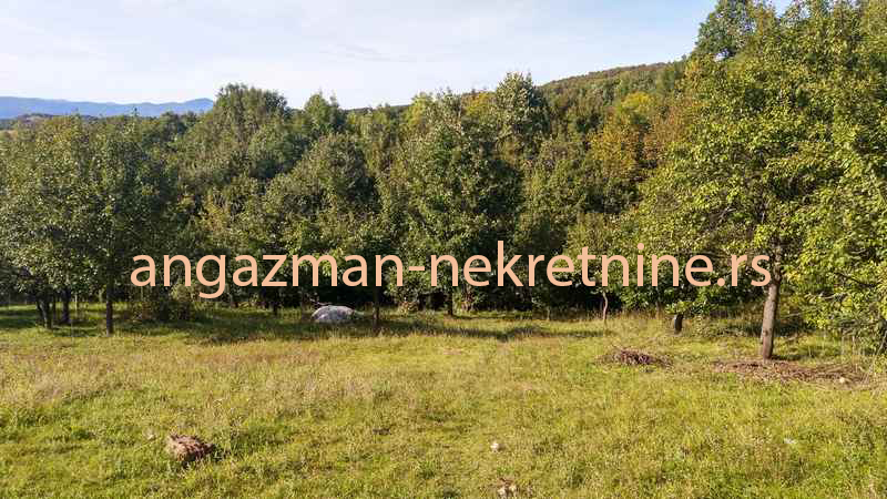 Boljevac, Rtanj – Valakonje 94kvm +7ha 06a 75kvm ID#19633