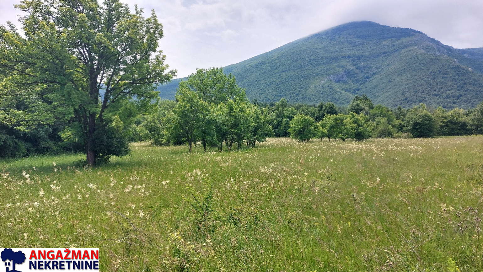 Boljevac, Rtanj – Mirovo 1ha 86a 59kvm ID#27583