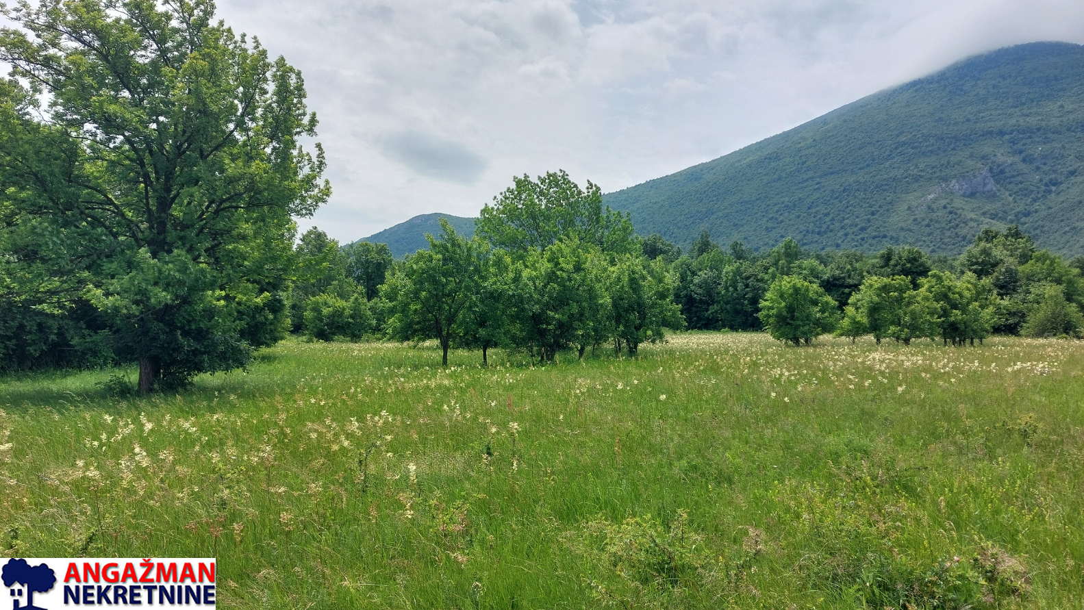 Boljevac, Rtanj – Mirovo 1ha 86a 59kvm ID#27583