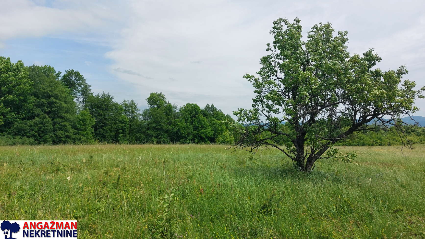 Boljevac, Rtanj – Mirovo 1ha 86a 59kvm ID#27583