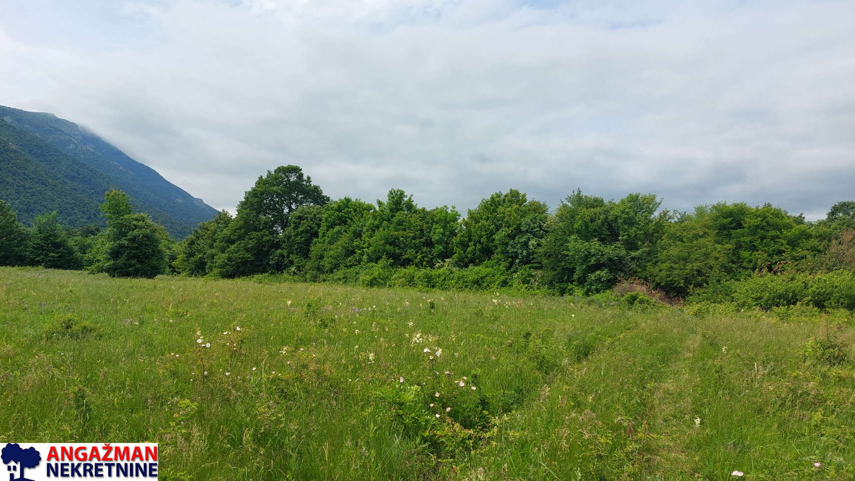 Boljevac, Rtanj – Mirovo 1ha 86a 59kvm ID#27583