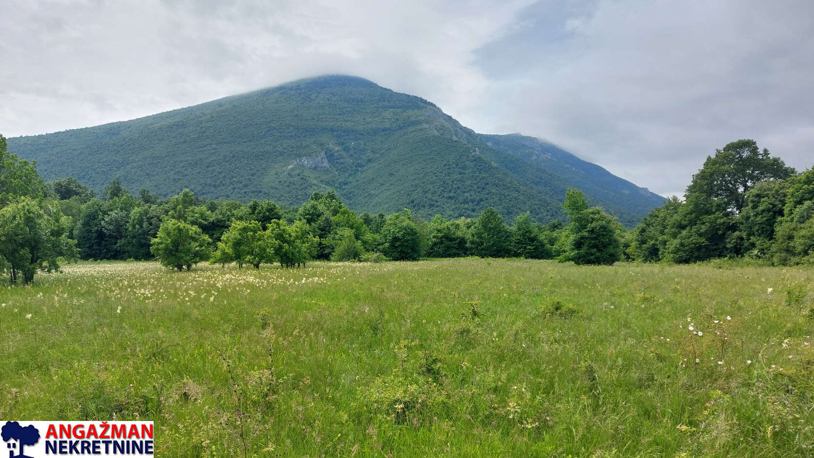 Boljevac, Rtanj – Mirovo 1ha 86a 59kvm ID#27583