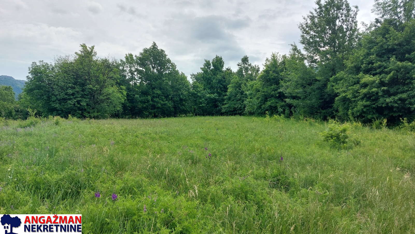 Boljevac, Rtanj – Mirovo 1ha 86a 59kvm ID#27583