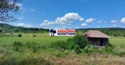 Boljevac, Rtanj – Ilino (68+26+22) + 3ha 3a 40kvm