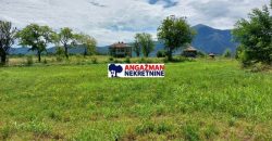 Boljevac, Rtanj – Ilino (68+26+22) + 3ha 3a 40kvm