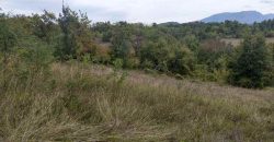 Boljevac, Rtanj – Vrbovac 63,69ari