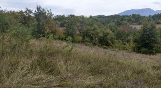 Boljevac, Rtanj – Vrbovac 63,69ari