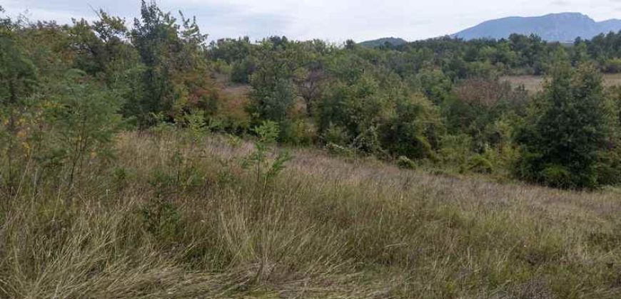 Boljevac, Rtanj – Vrbovac 63,69ari