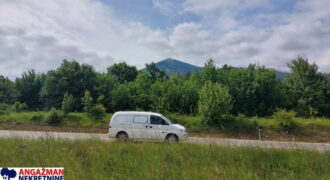 Boljevac, Rtanj – Mirovo 27,94ari