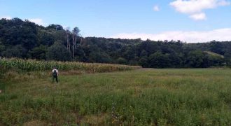 Boljevac, Rtanj – Jablanica 1ha 28ari i 82kvm