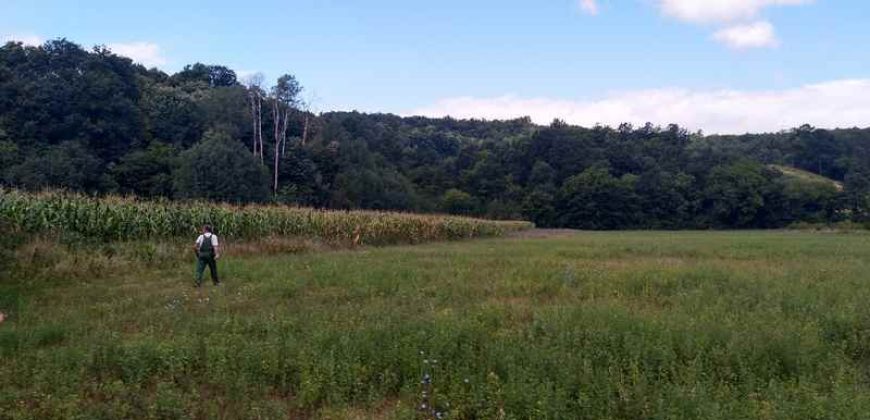 Boljevac, Rtanj – Jablanica 1ha 28ari i 82kvm