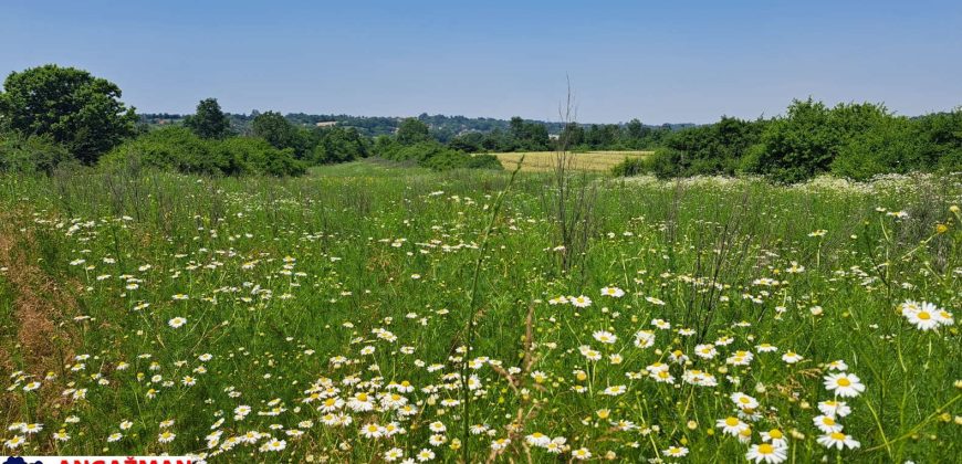 Barajevo – Veliki borak 1ha 60ari 52kvm