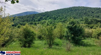 Boljevac, Rtanj – Mirovo 16,57ari