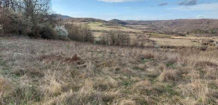 Boljevac, Rtanj – Vrbovac 4ha 42a 44kvm + 92kvm