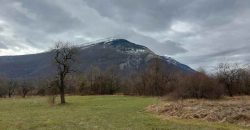 Boljevac, Rtanj – Mirovo 1ha 2a