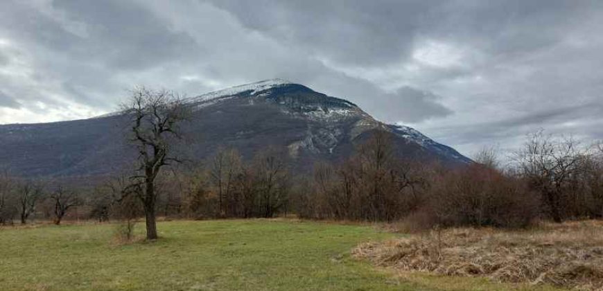 Boljevac, Rtanj – Mirovo 1ha 2a