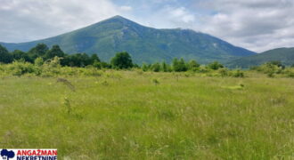 Boljevac, Rtanj – Mirovo 67,98ari