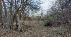 Boljevac, Rtanj – Mirovo 14ari 99kvm