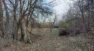 Boljevac, Rtanj – Mirovo 14ari 99kvm