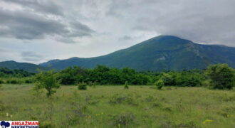 Boljevac, Rtanj – Mirovo 38,82ara