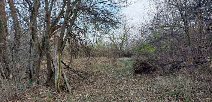 Boljevac, Rtanj – Mirovo 14ari 99kvm