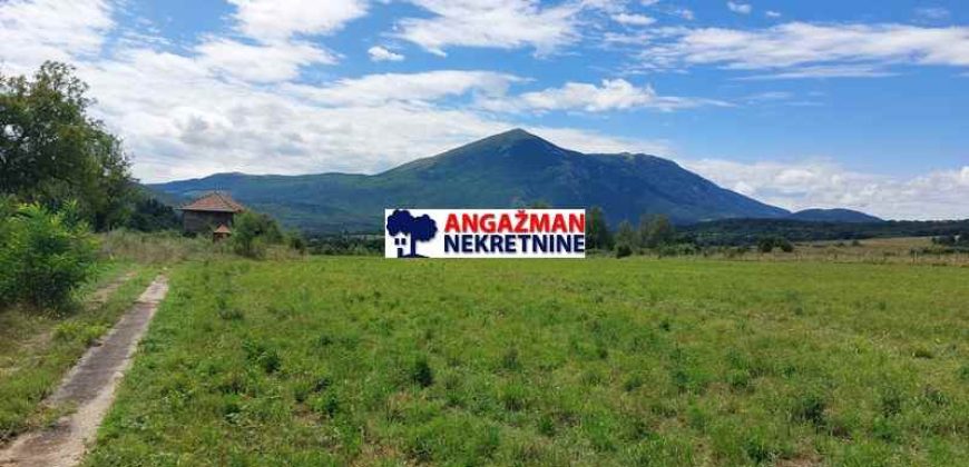 Boljevac, Rtanj – Ilino (68+26+22) + 3ha 3a 40kvm