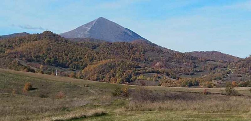 Boljevac, Rtanj – Dobro polje 3ha 69a 06kvm