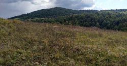 Boljevac – Dobrujevac 439,22a