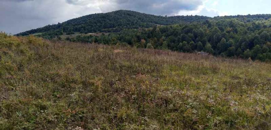 Boljevac – Dobrujevac 439,22a