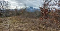 Boljevac, Rtanj – Mirovo 13a 73kvm