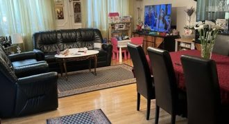 Lekino brdo – 485kvm +3,1ar