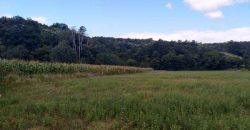 Boljevac, Rtanj – Jablanica 1ha 28ari i 82kvm