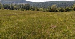 Boljevac, Rtanj – Rujište 85ari