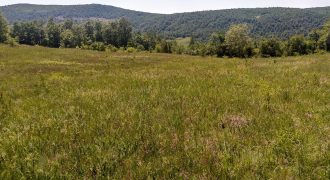 Boljevac, Rtanj – Rujište 85ari