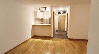 Zemunske kapije – Šumadijska 37kvm