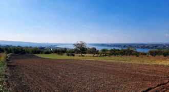 Višnjica – 40,90ari