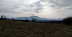 Boljevac, Valakonje – Bukovo 407,53ari