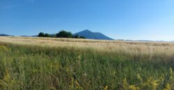 Boljevac, Rtanj – Valakonje 1ha 3a 35kvm