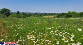 Barajevo – Veliki borak 1ha 60ari 52kvm