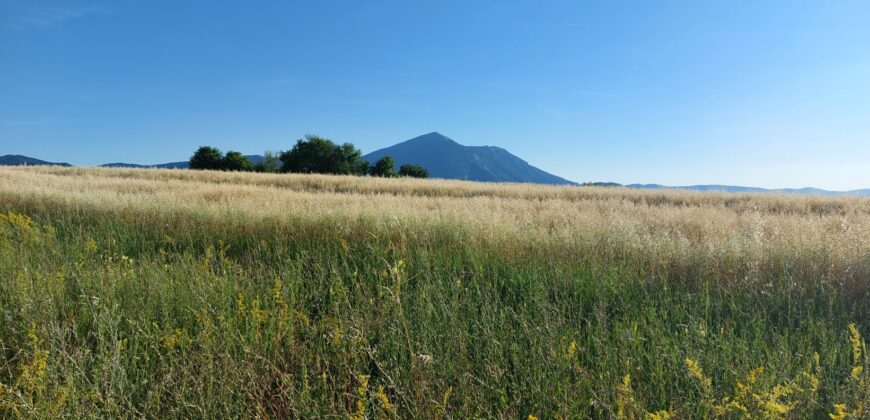 Boljevac, Rtanj – Valakonje 1ha 3a 35kvm