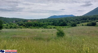 Boljevac, Rtanj – Mirovo 17,78ari