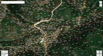 Boljevac, Rtanj – Bačevica 9ha 65a 35kvm