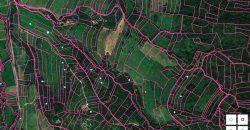 Zaječar – Lasovo 5ha 46a 76kvm
