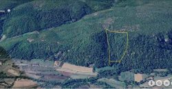 Boljevac, Rtanj – Jablanica 4ha 65a 51kvm