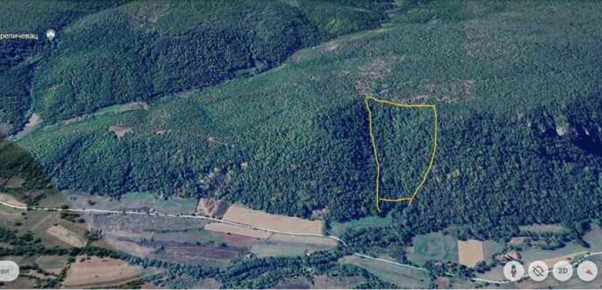 Boljevac, Rtanj – Jablanica 4ha 65a 51kvm