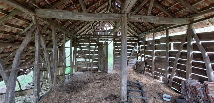 Zaječar – Gornja bela reka 31kvm-1ha 44a 11kvm