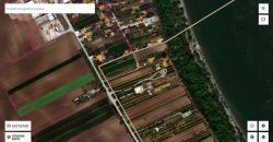 Batajnica – Batajnički vinogradi 921kvm + 32ara