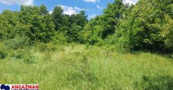 Boljevac, Rtanj – Mirovo 2ha 70ari 67kvm