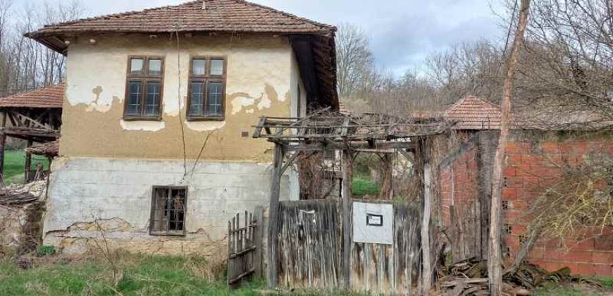 Boljevac, Rtanj – Vrbovac 77kvm + 4,24a