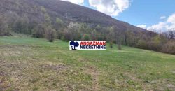 Boljevac, Rtanj – Mirovo 1ha 36a 66kvm